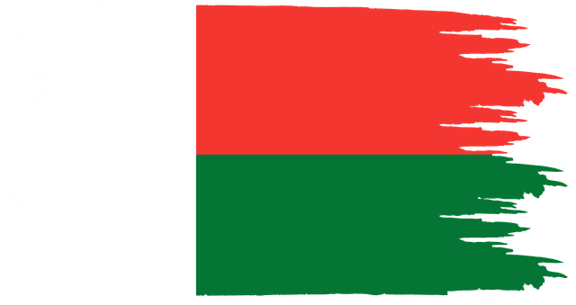 MLFLAG